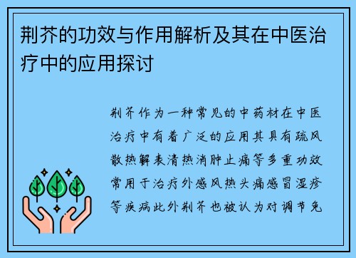 荆芥的功效与作用解析及其在中医治疗中的应用探讨